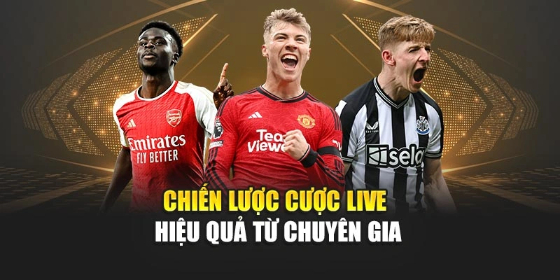 Chiến lược cược live hiệu quả từ chuyên gia