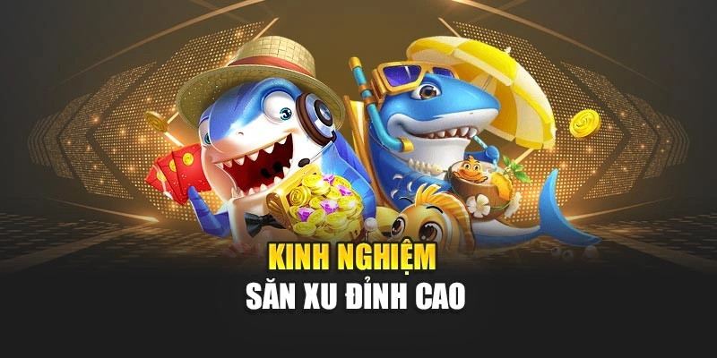 Kinh nghiệm săn xu đỉnh cao
