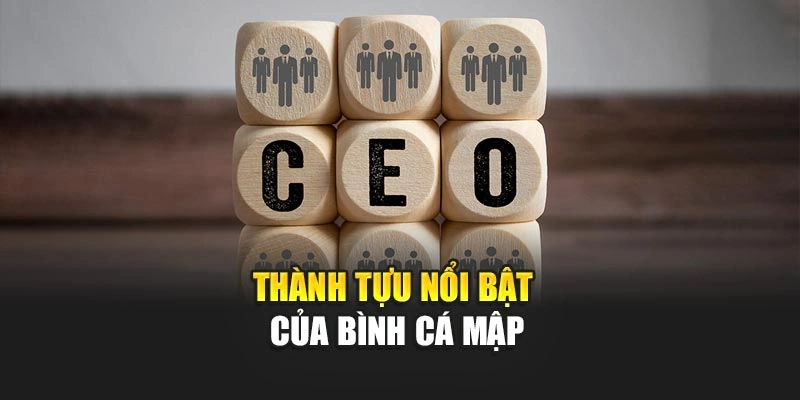 Thành tựu nổi bật của Bình Cá Mập